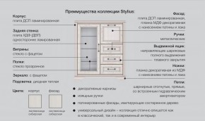 Прихожая модульная Стилиус в Чебаркуле - chebarkul.magazinmebel.ru | фото - изображение 2