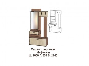Секция с зеркалом в Чебаркуле - chebarkul.magazinmebel.ru | фото