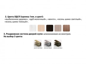 Шкаф-купе Акцент-Сим Д 2400-600 шимо тёмный в Чебаркуле - chebarkul.magazinmebel.ru | фото - изображение 3